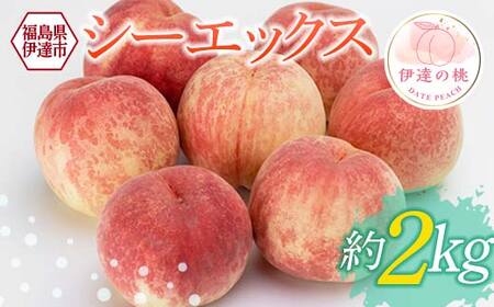 【2026年出荷分先行予約】福島県産 シーエックス 約2kg (5～7玉) 高橋もも園 大玉 伊達の桃 桃 フルーツ 果物 もも モモ momo F21C-229