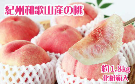 紀州和歌山産の桃　約1．8kg　化粧箱入【2026年6月下旬より順次発送】【UT52】【uot720-2】