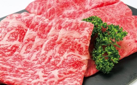 ロース2種すき焼き用(合計600g) | 豊後高田市 すき焼き