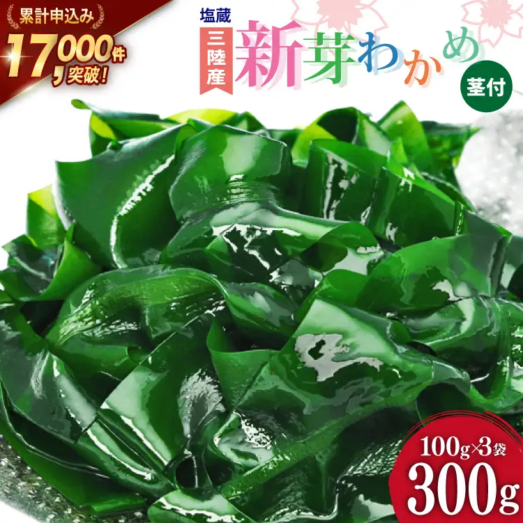 新芽わかめ 300g(約100g×3袋) わかめ [かわむら家 宮城県 気仙沼市 20564375]