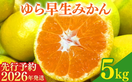 【2026年先行予約】紀州和歌山有田産ゆら早生みかん 5kg ｜早生みかん フルーツ 果物 みかん