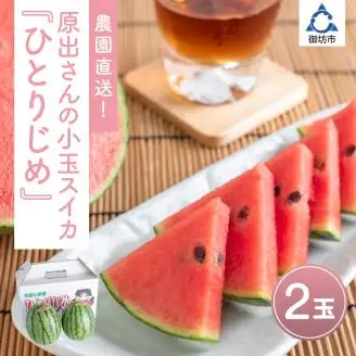 【0269-2】農園直送！原出さんの小玉スイカ（ひとりじめ）《先行予約》【2026年6月下旬頃から順次発送予定】【配送不可地域：北海道、沖縄、離島等】