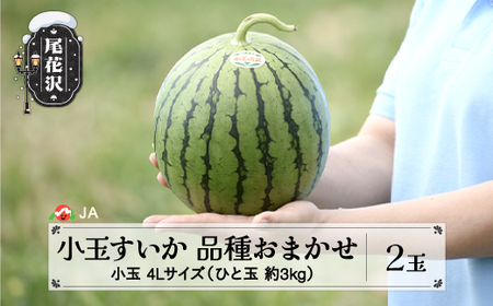 尾花沢産小玉すいか スイカ 4Lサイズ×2玉 令和8年産 ja-suk4x2