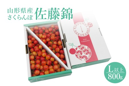 【2026年発送】さくらんぼ佐藤錦800g（L以上・バラ詰）_H110(R8)