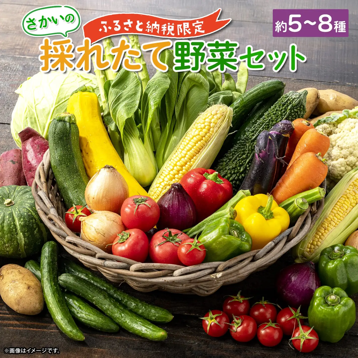 K1667【ふるさと納税限定】さかいの採れたて野菜セット