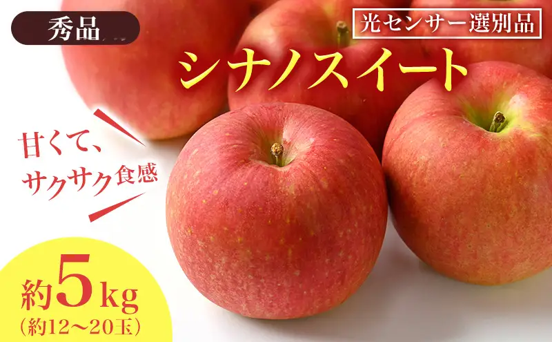 りんご シナノスイート 秀品 約5kg 12～20玉入 長野県産 果物類 林檎  リンゴ フルーツ 