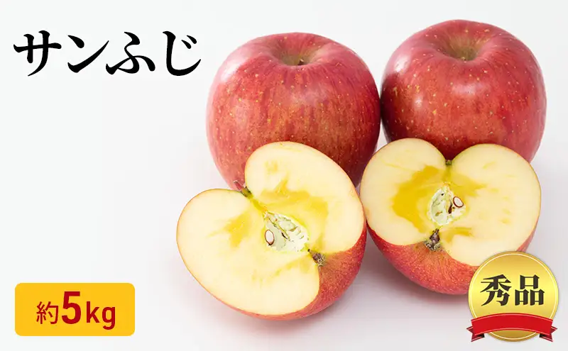 【先行予約】令和8年度産 サンふじりんご 秀品 約5kg 12～20玉入 長野県産 果物類 林檎 りんご リンゴ フルーツ 小諸市