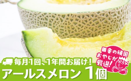 【定期便】 アールスメロン 食べてみセット 1個入り 毎月1回 1年コース (全12回)