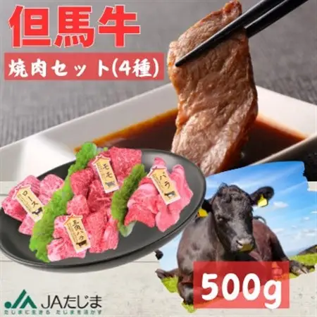 但馬牛　焼肉セット【500g】【配送不可地域：離島】【1216123】