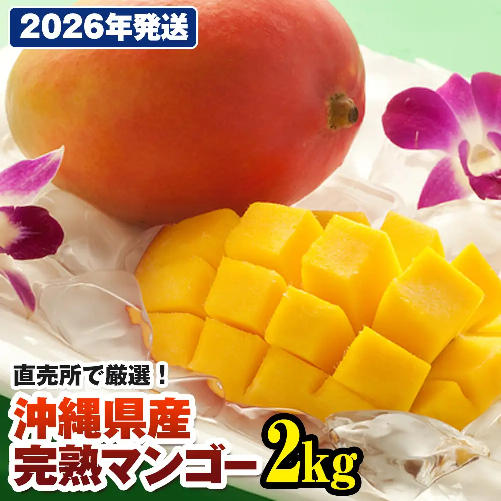【2026年発送】直売所で厳選　沖縄県産「完熟マンゴー」2kg