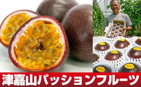 【2026年発送】津嘉山パッションフルーツ　約1kg