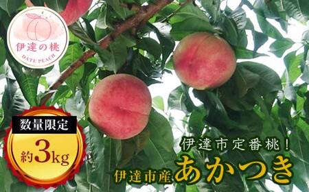 【2026年出荷分先行予約】福島県産 あかつき 約3kg (11～13玉) 有限会社志賀青果 伊達の桃 桃 フルーツ 果物 もも モモ momo F20C-159