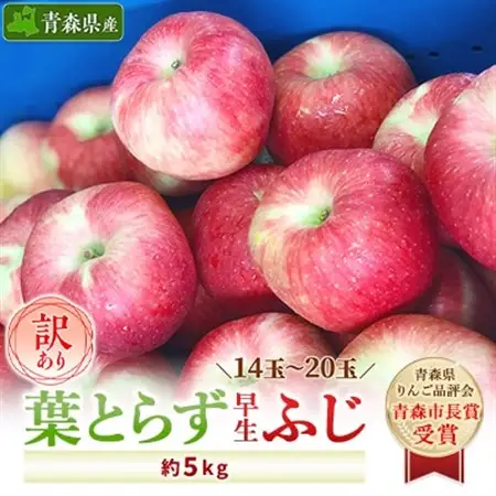 「葉とらず早生ふじ」約5kg・訳あり家庭用りんご_果物・フルーツ りんご  リンゴ 林檎_【配送不可地域：離島・沖縄県】【1142406】