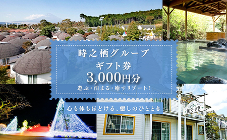 旅行 静岡 時之栖 グループ ギフト券 3,000円分 1万円寄付コース チケット 券 観光