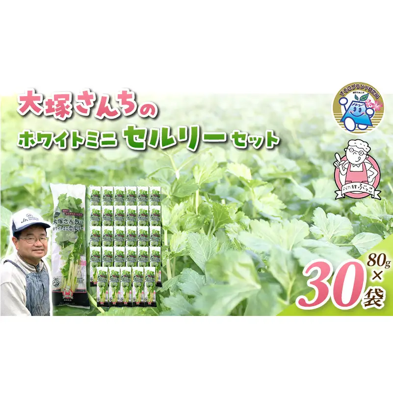 ホワイトミニセルリー 30袋入り 野菜 詰め合わせ セルリー セロリ ミニセロリ 新鮮 産地直送 業務用 大容量 まとめ買い 野菜セット ギフト 詰合せ 常備野菜