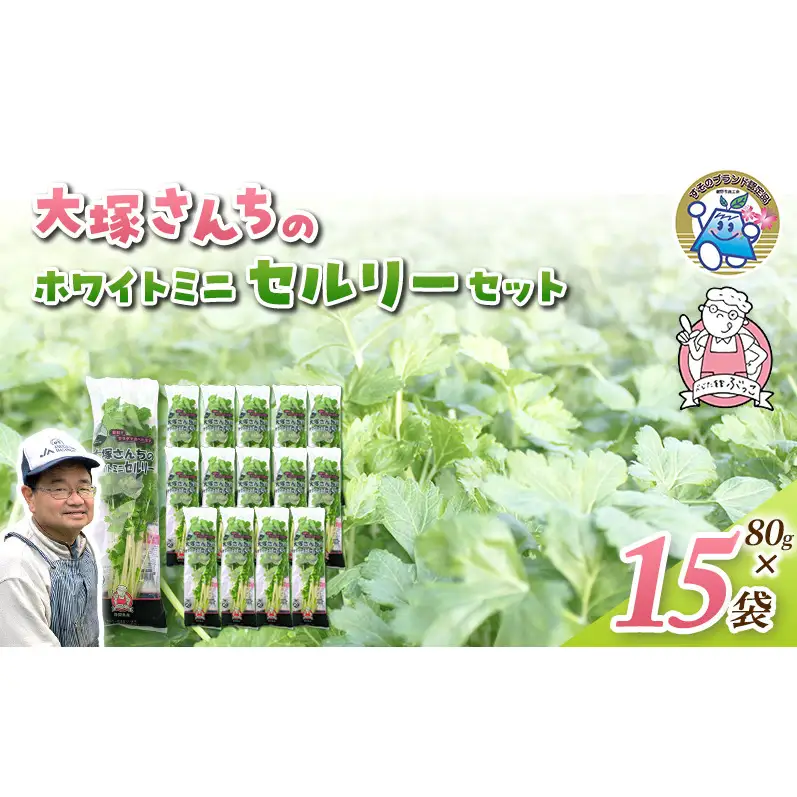 ホワイトミニセルリー 15袋入り 野菜 詰め合わせ セルリー セロリ ミニセロリ 新鮮 産地直送 大容量 業務用 まとめ買い 野菜セット ギフト 詰合せ 常備野菜