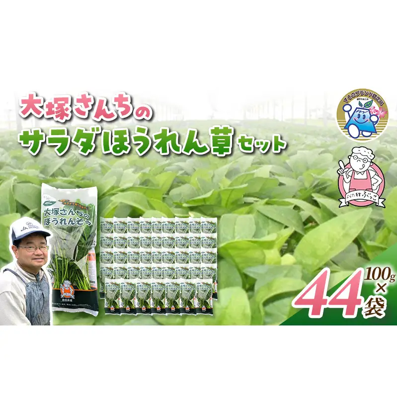 サラダほうれん草 44袋 野菜サラダセット 詰め合わせ ほうれんそう ホウレン草 新鮮 産地直送 大容量 業務用 まとめ買い 野菜セット ギフト 詰合せ 常備野菜