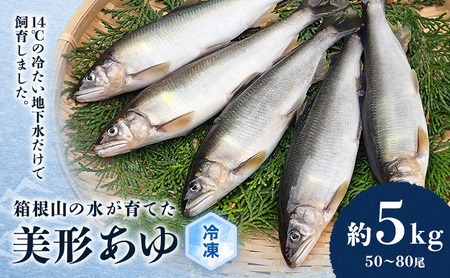 鮎 箱根の水が育てた 美形 あゆ 約5kg 50～80尾 魚 魚介 魚介類 鮮魚 川魚 生魚