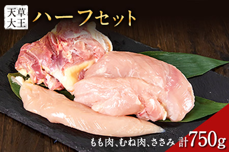天草大王　ハーフセット 約750g【幻の地鶏】もも・むね・ささみ各1枚 熊本県産 玉東町《60日以内に出荷予定(土日祝除く)》