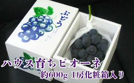 ハウス育ち ピオーネ 約600g 1房化粧箱入り 果物 ぶどう ブドウ フルーツ 