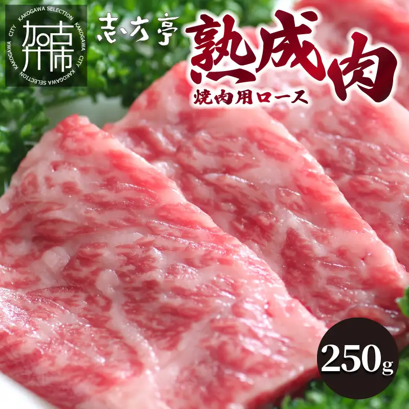 「熟成肉」焼肉(250g)《焼肉 熟成肉 ロース 牛肉 ロース 250g 牛 国産 和牛 おすすめ こだわり セット バーベキュー ブレンド塩 旨味 加古川市》【2402A00405】