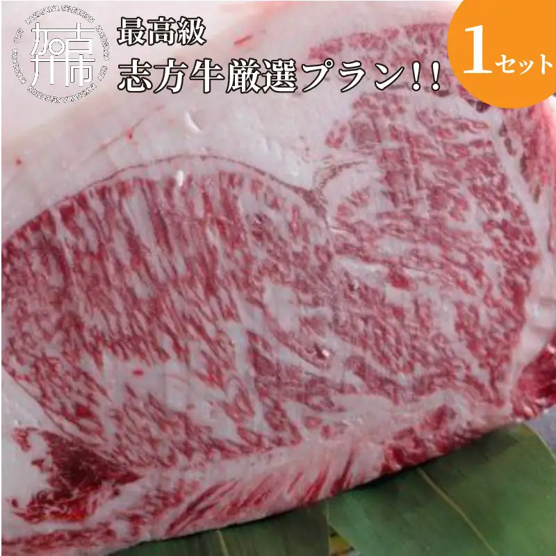 ★☆贅沢なお肉を心ゆくまで☆★最高級志方牛厳選プラン！！《牛肉 志方牛 志方亭 焼肉 バーベキュー BBQ 和牛》【2499A00402】