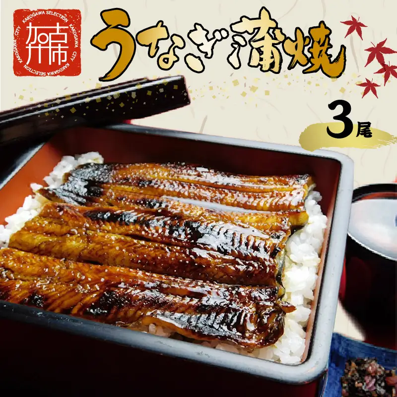  鰻の蒲焼き3尾(6パック)たれ別・挽きたて粉山椒付《ふっくら 焼きたて うなぎ蒲焼き お茶漬け ひつまぶし》【2403D05601】