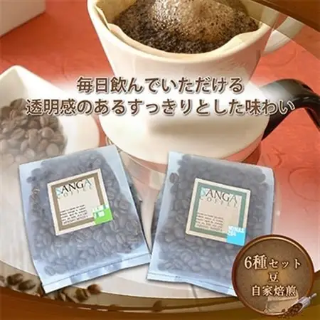 サンガコーヒー〈豆〉100g×6種_飲料・ドリンク コーヒー豆 コーヒー・コーヒー豆 珈琲 珈琲豆_【1070089】