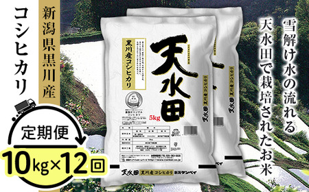 27-10ZD【12ヶ月連続お届け】新潟県黒川産コシヒカリ10kg（5kg×2袋）【天水田】