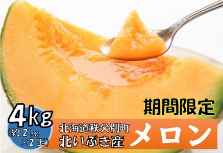 【先行受付】令和8年産 赤肉メロン2玉【E-03】