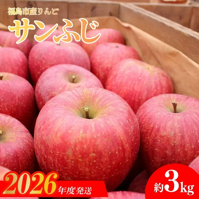 No.1206 佐藤果樹園/桜田 福島のりんご「サンふじ」約3kg【2026年度発送】