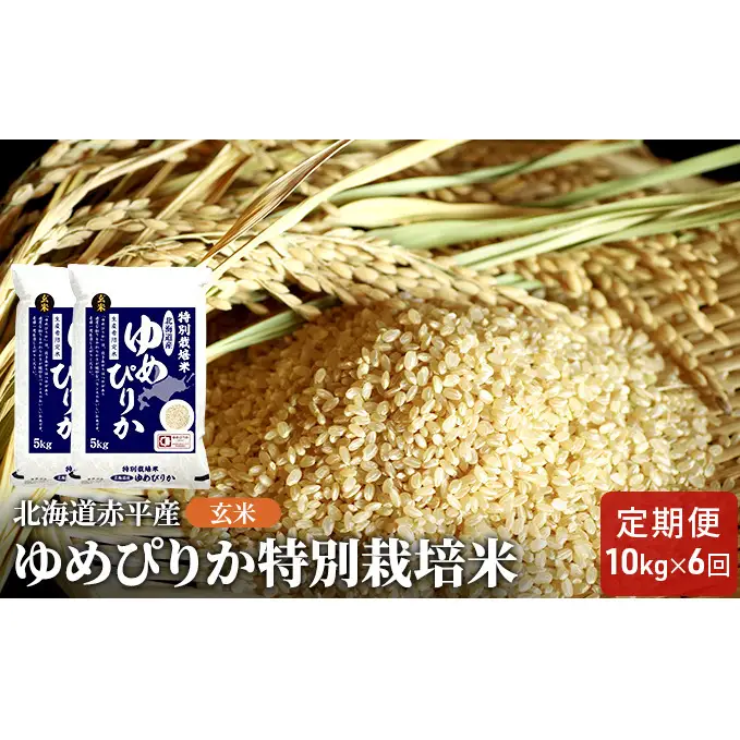 玄米 北海道赤平産 ゆめぴりか 10kg (5kg×2袋) 特別栽培米 【6回お届け】 米 北海道 定期便 ふるさと納税 お米 