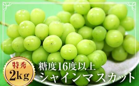 福島県伊達市産 特秀 シャインマスカット 2kg以上（3~4房） F20C-128