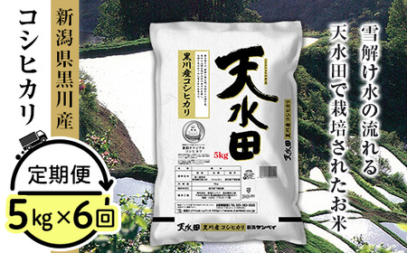 27-56D【6ヶ月連続お届け】新潟県黒川産コシヒカリ5kg【天水田】