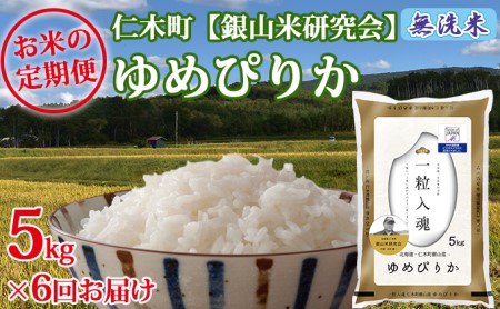 【2025年産米】6ヵ月 定期便 銀山米研究会の無洗米＜ゆめぴりか＞5kg　ご飯 ライス 白米 ブランド米 おにぎり お弁当 北海道産 産地直送 ご飯 時短 朝ごはん 夜ごはん 昼ごはん [株式会社 松原米穀]