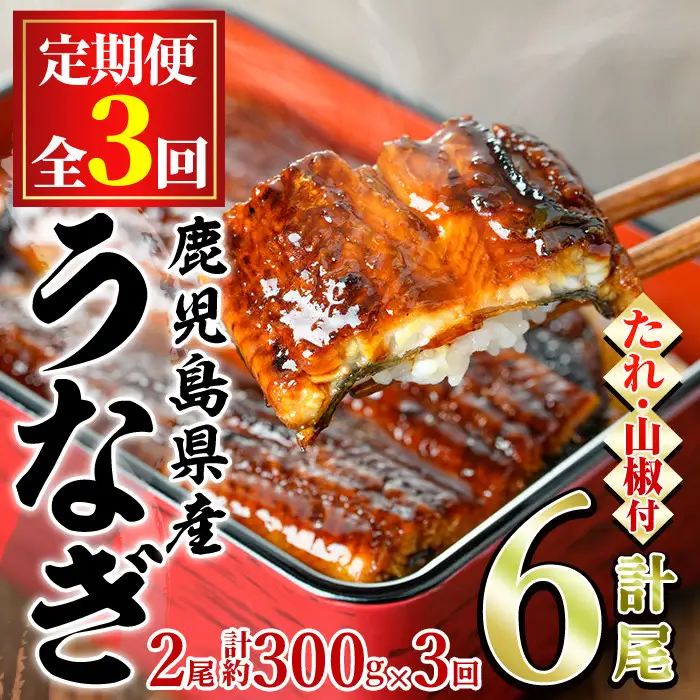 ＜定期便・全3回＞東串良町 うなぎ 蒲焼 (無頭)(2尾・計約300g・タレ、山椒付×3回) 高級 ウナギ 鰻 国産 たれ 鹿児島 ふるさと 人気【アクアおおすみ】【0304303b】