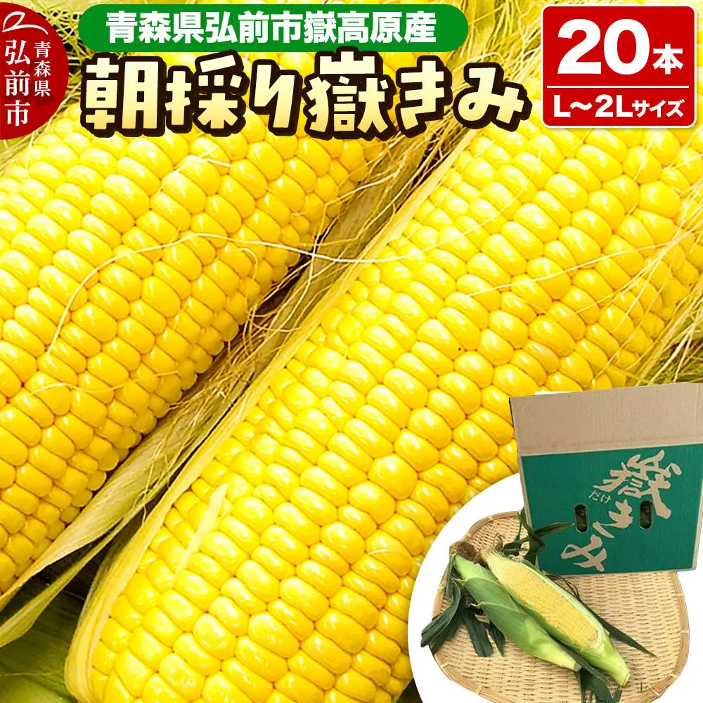 【26年8月下旬～クール便発送】とうもろこし【先行受付】朝採り嶽きみ 20本（L～２Lサイズ）弘前市嶽高原産