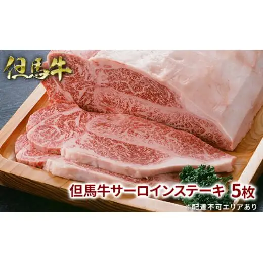 但馬牛 サーロイン ステーキ 200g×5枚 計1kg 牛肉 国産牛 和牛 BBQ バーベキュー アウトドア お祝い