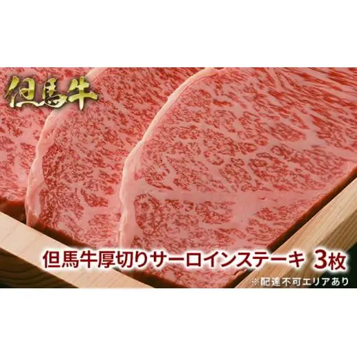 但馬牛 厚切り サーロイン ステーキ 300g×3枚 計900g 牛肉 国産牛 和牛 BBQ バーベキュー アウトドア お祝い