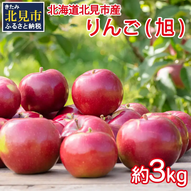 りんご 予約：2026年10月から順次発送】北海道北見市産 りんご 旭 約3kg
