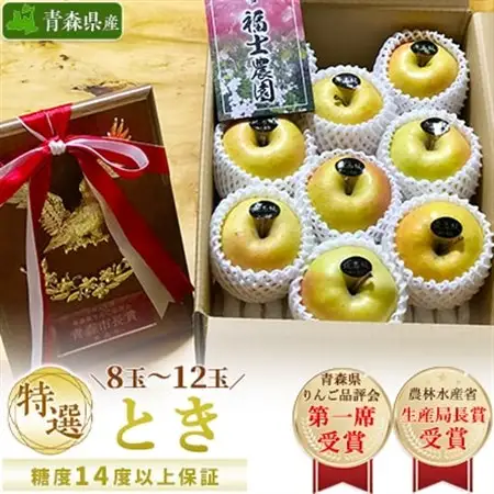 「とき」約3kg・糖度14度以上保証・特選贈答用りんご 青森市長賞受賞_果物・フルーツ りんご  リンゴ 林檎_【配送不可地域：離島・沖縄県】【1074177】