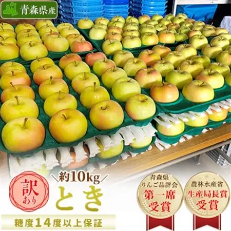 「とき」約10kg・糖度14度以上保証・訳あり家庭用りんご_果物・フルーツ りんご  リンゴ 林檎_【配送不可地域：離島・沖縄県】【1074180】