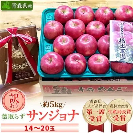 「葉とらずサンジョナ」約5kg・訳あり家庭用りんご 青森市長賞受賞_果物・フルーツ りんご  リンゴ 林檎_【配送不可地域：離島・沖縄県】【1106868】