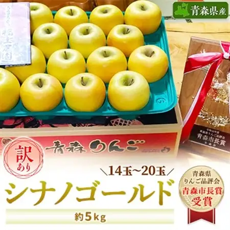 「シナノゴールド」5kg・訳あり家庭用りんご 青森市長賞受賞_果物・フルーツ りんご  リンゴ 林檎_【配送不可地域：離島】【1106869】