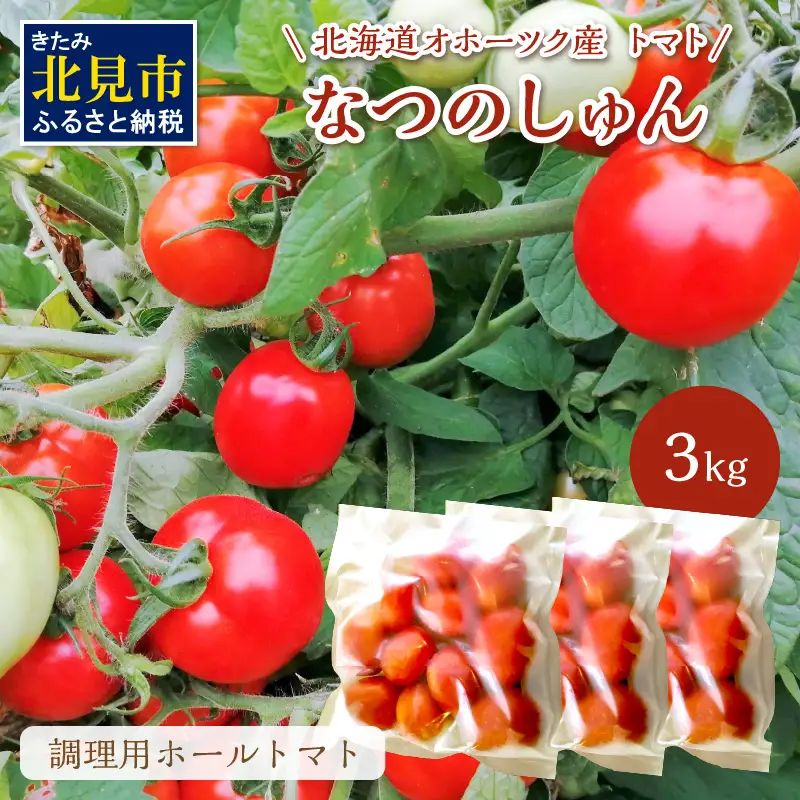 北海道オホーツク産 トマト『なつのしゅん』3kg 調理用ホールトマト ( 野菜 トマト 調理用 )【100-0013】