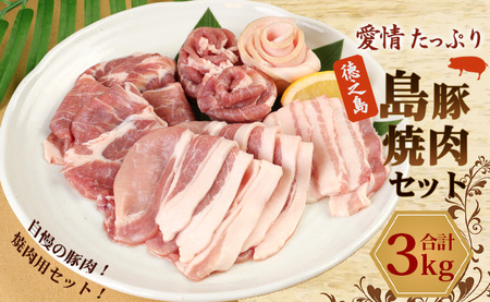 徳之島産 徳之島 愛情たっぷり 島豚焼肉セット 3種 計3kg 豚肉 食べ比べ 鹿児島県 徳之島