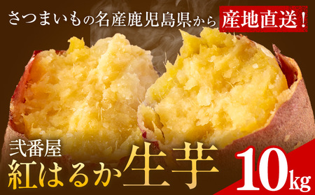 紅はるか 芋 10kg 紅はるか　芋《11月上旬-2月中旬頃出荷》