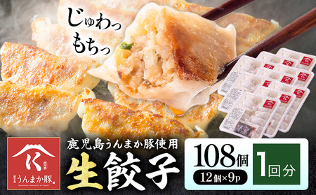 餃子 鹿児島 うんまか豚 生餃子 108個 