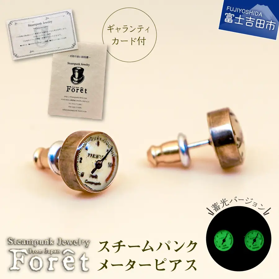 ピアス Steampunk スチームパンク メーターピアス ジュエリー 