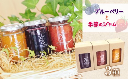 ブルーベリー と山口県の 季節のジャム 3本セット